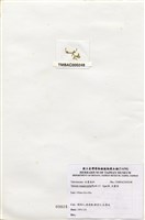 藏品(法囊藻)的圖片